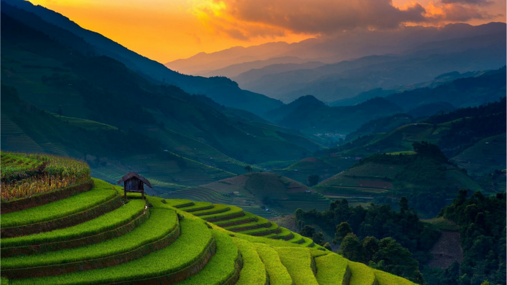 Rice Terraces in Vietnam 