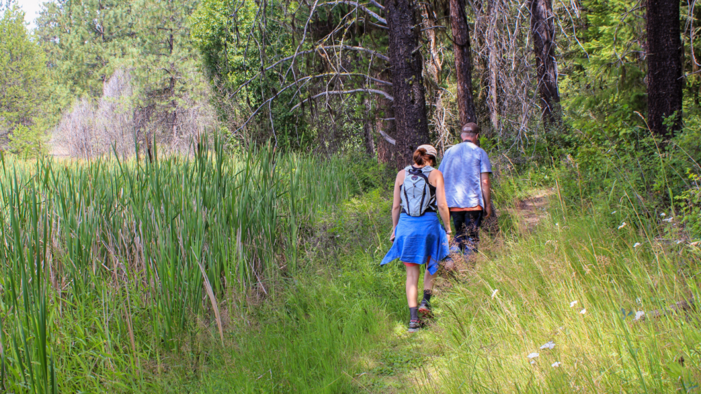 Discover the Best Coastal Hikes with Stunning Seascapes Top Trails for Adventure Lovers