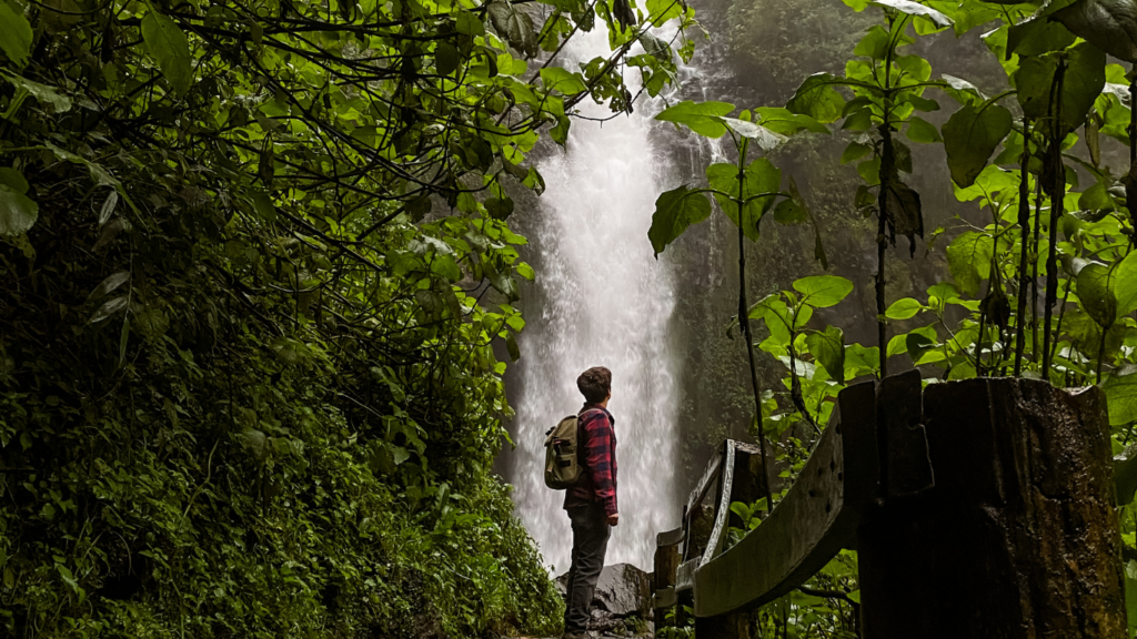 Hiking the World’s Most Beautiful Forests Top Trails for Nature Lovers