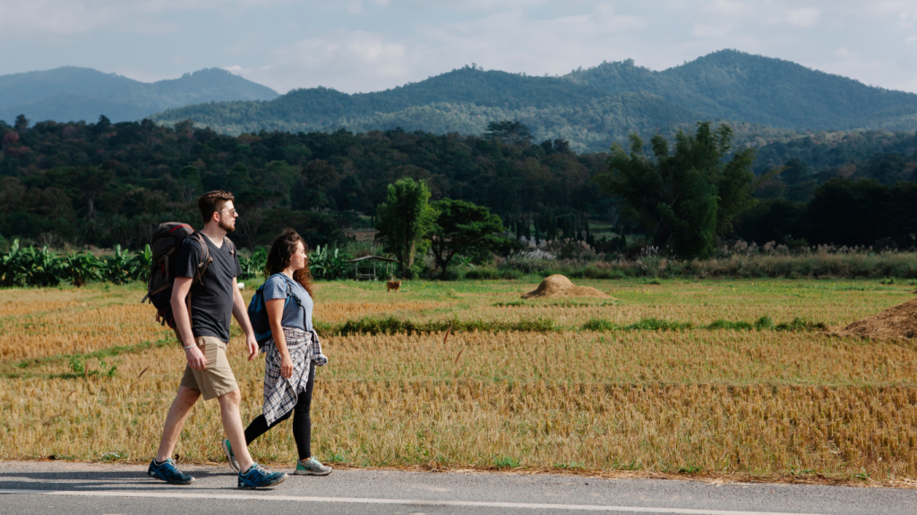 Travelers walking in the road 