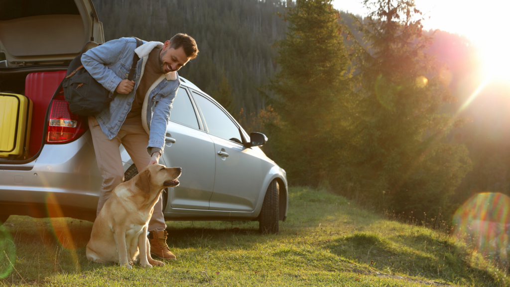 Travel with pets