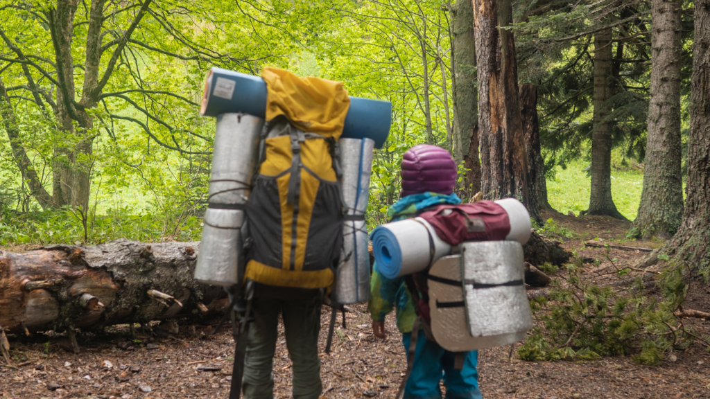 Parent and child in a forest