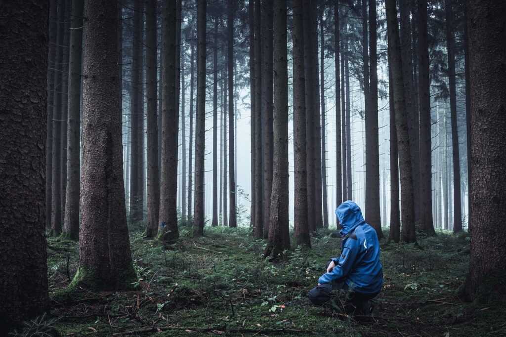 forest, person, bushcraft, outdoor, survival, wilderness, nature, bushcraft, bushcraft, bushcraft, bushcraft, bushcraft, survival