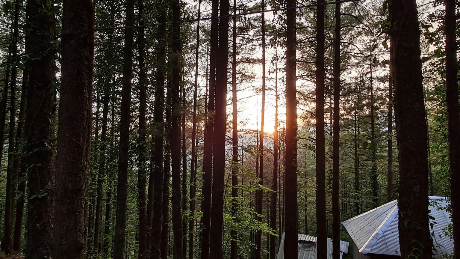 Ultimate Hiking Bucket List: Legendary Trails Every Trekker Must ...