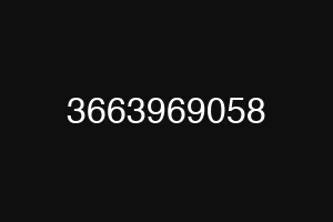 3663969058