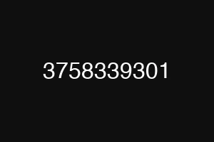 3758339301