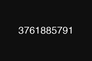 3761885791