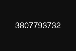 3807793732