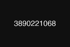 3890221068