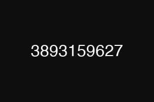 3893159627