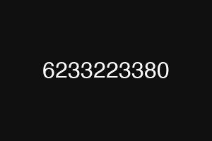 6233223380