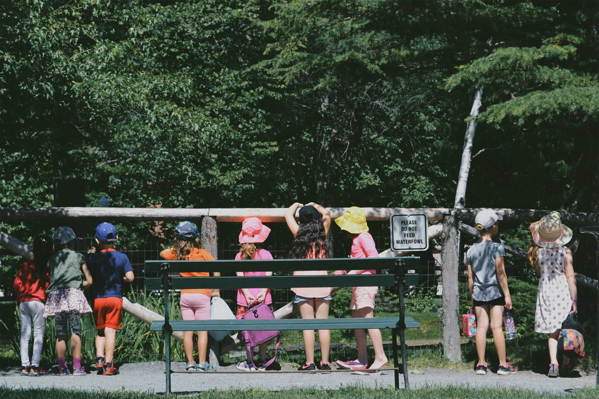 Wander Student How Beyond Classrooms Shows That Outdoor Learning Changes the Way ...