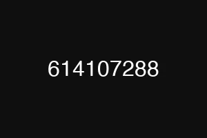 614107288