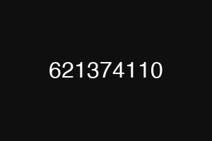 621374110