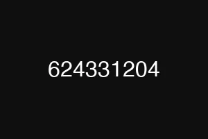 624331204