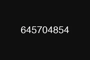 645704854