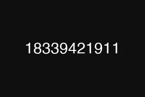 18339421911