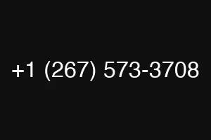 +1 (267) 573-3708
