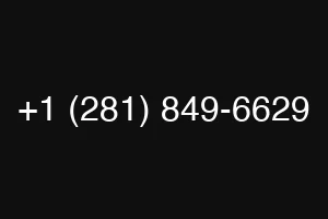 +1 (281) 849-6629