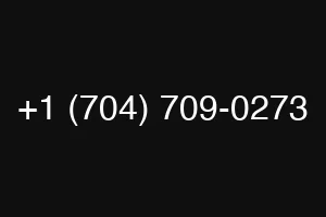 +1 (704) 709-0273