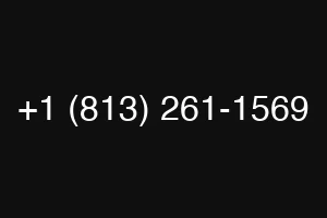 +1 (813) 261-1569