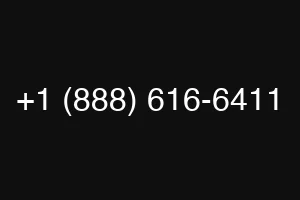 +1 (888) 616-6411