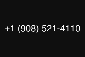 +1 (908) 521-4110