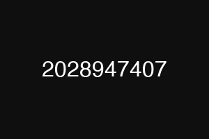 2028947407
