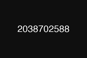 2038702588