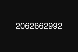 2062662992