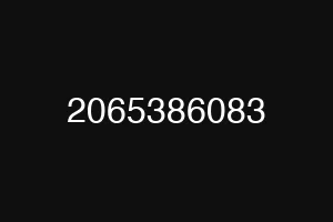 2065386083